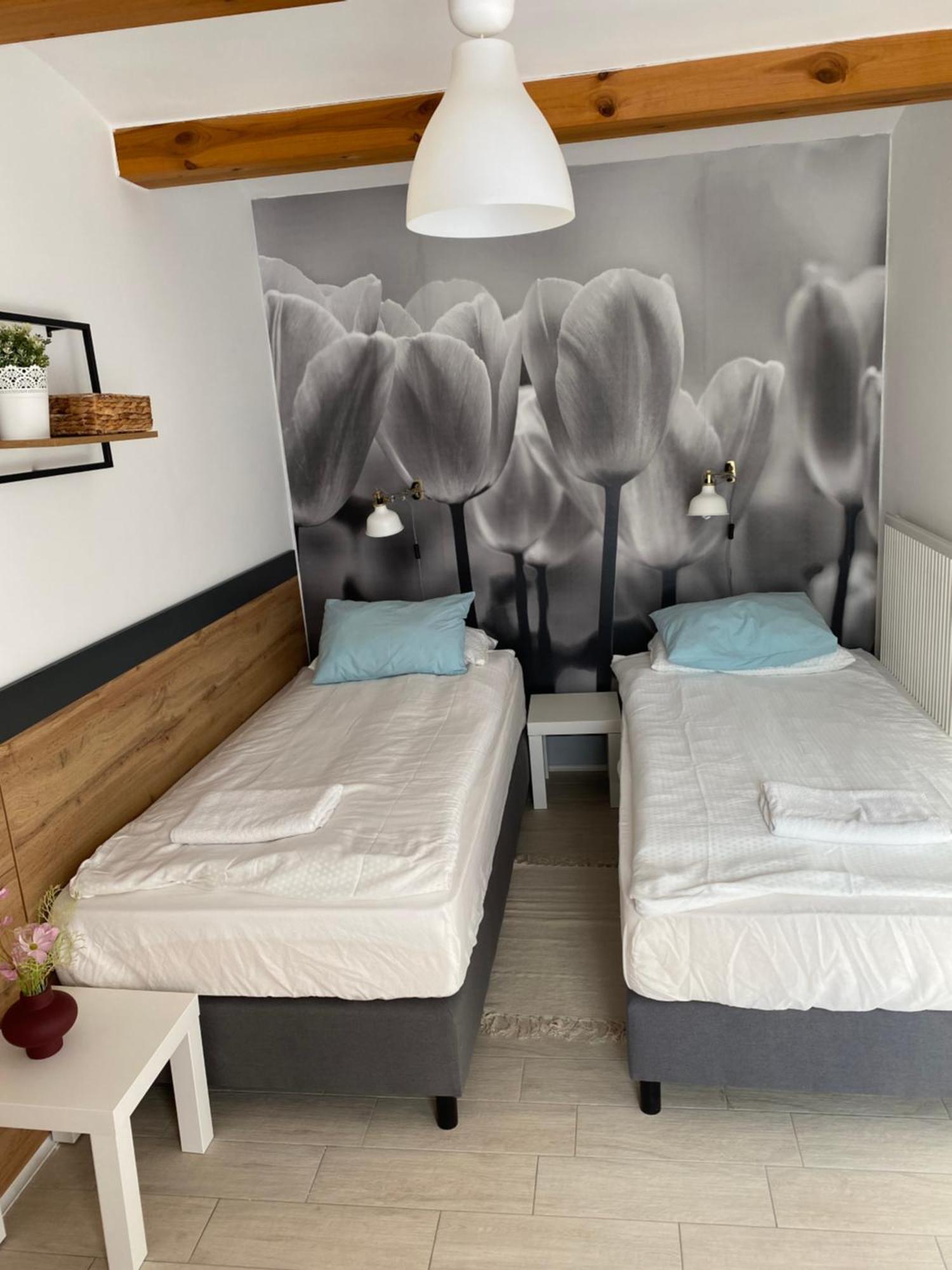 Levendula Apartmanhaz 바다초니토마이 외부 사진